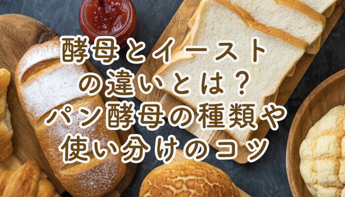 What is the difference between yeast and yeast? Types of baker's yeast and tips for using it