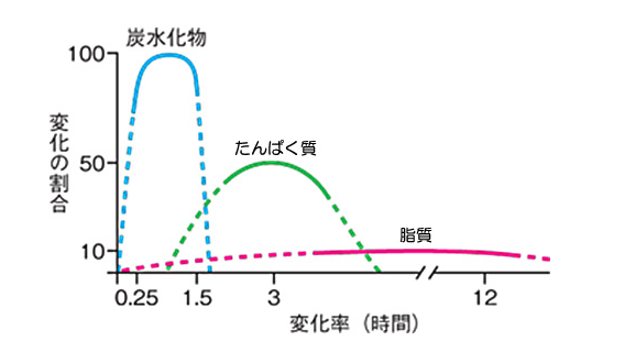 栄養素の血糖値への影響
