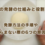How does bread ferment work and what does it do? Fermentation method procedure and 6 causes of non-swelling
