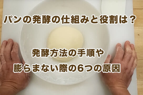 How does bread ferment work and what does it do? Fermentation method procedure and 6 causes of non-swelling