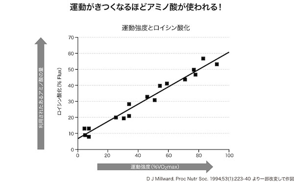 運動強度とロイシン強化
