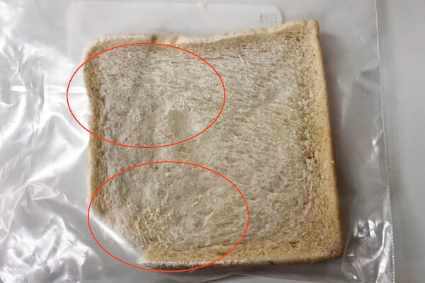 ふんわり食パン　消費期限が過ぎて2週間（14日目）