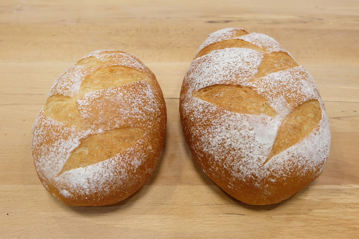 Bread made in this course Advance (4) Soft France